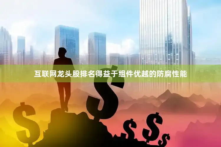 互联网龙头股排名得益于组件优越的防腐性能